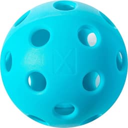 Franklin X-26 Indoor Pickleballs